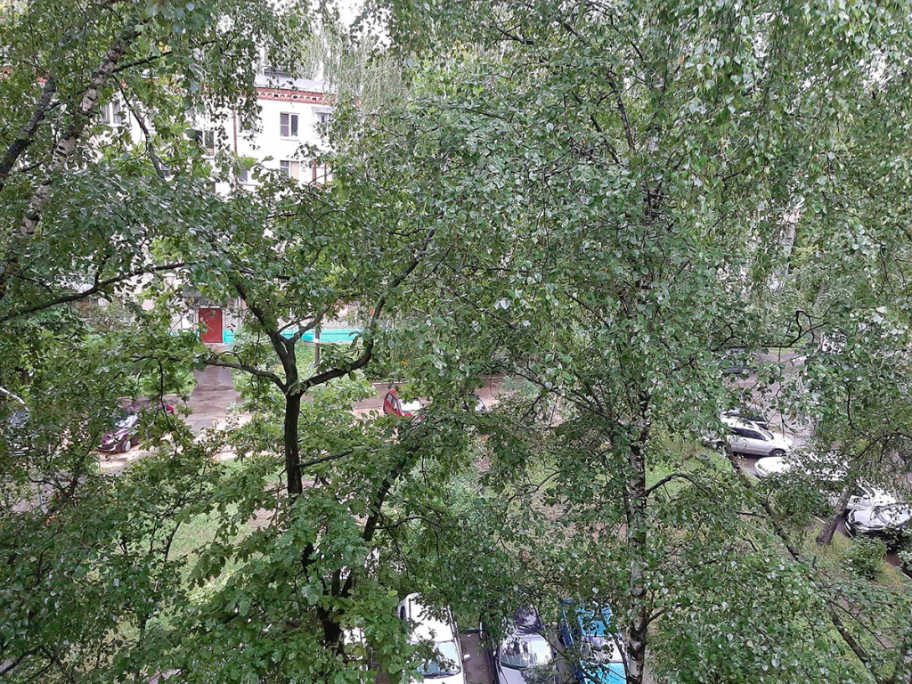 дожди и ливни в июне